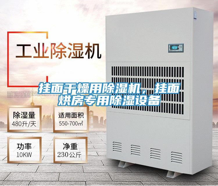 掛面干燥用除濕機，掛面烘房專用除濕設(shè)備