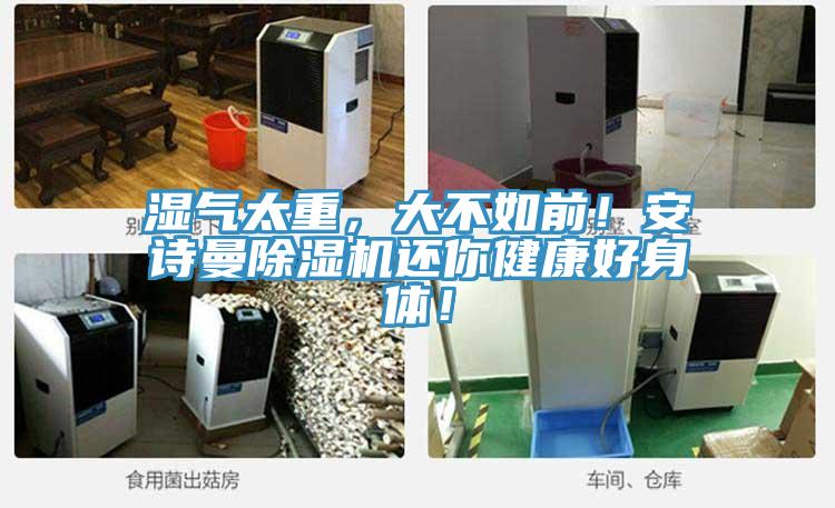 濕氣太重，大不如前！安詩曼除濕機(jī)還你健康好身體！