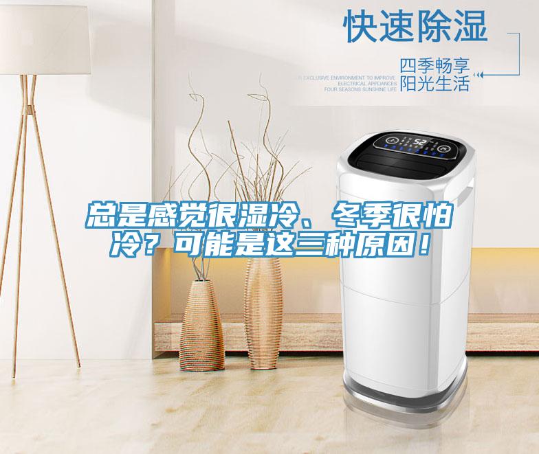 總是感覺很濕冷、冬季很怕冷？可能是這三種原因！