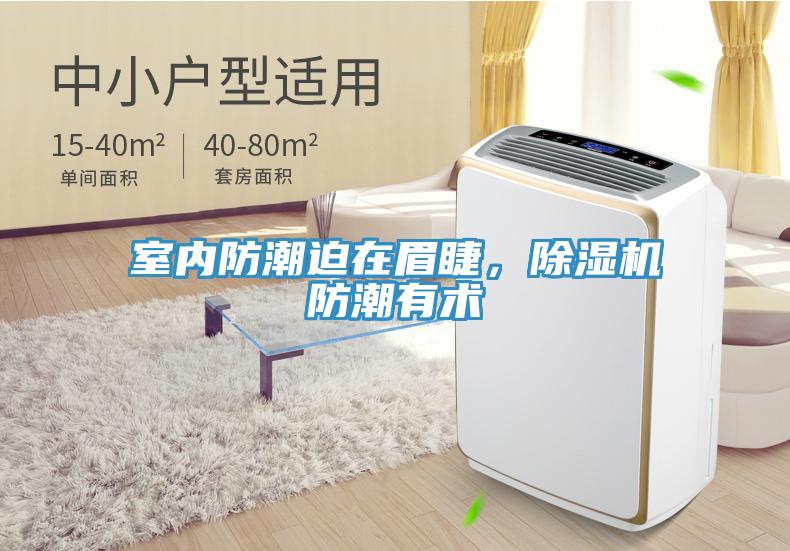 室內(nèi)防潮迫在眉睫，除濕機(jī)防潮有術(shù)