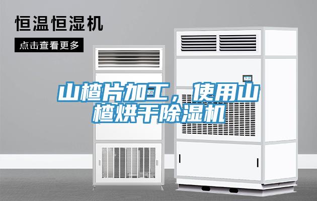 山楂片加工，使用山楂烘干除濕機(jī)