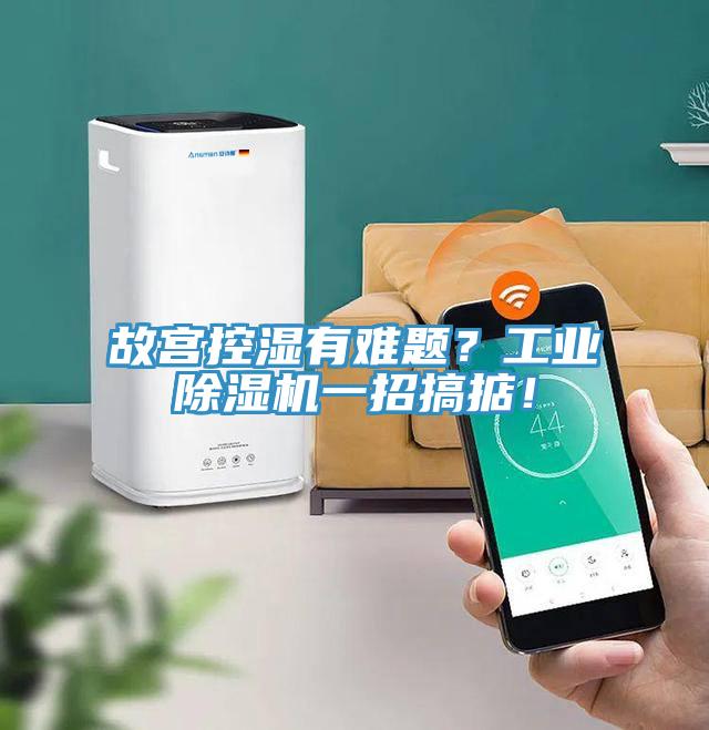 故宮控濕有難題？工業(yè)除濕機(jī)一招搞掂！