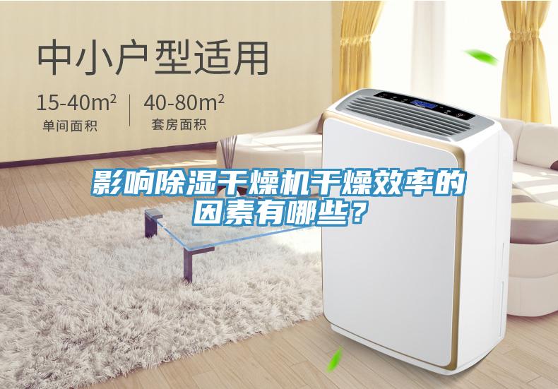 影響除濕干燥機(jī)干燥效率的因素有哪些？