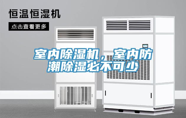 室內(nèi)除濕機(jī)，室內(nèi)防潮除濕必不可少