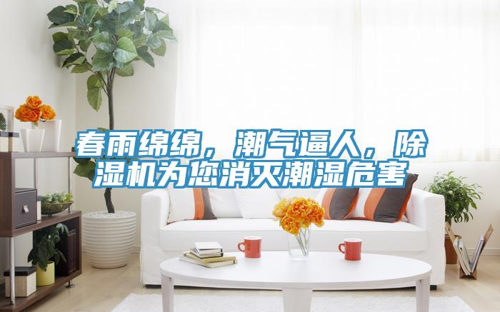 春雨綿綿，潮氣逼人，除濕機為您消滅潮濕危害