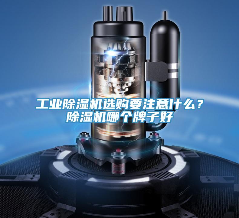工業(yè)除濕機選購要注意什么？除濕機哪個牌子好