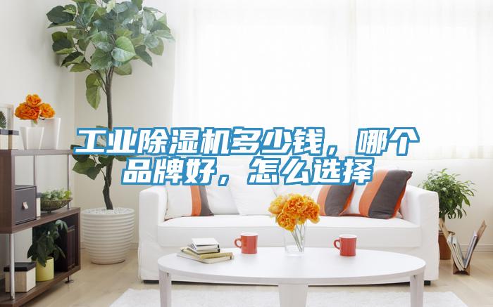 工業(yè)除濕機多少錢，哪個品牌好，怎么選擇