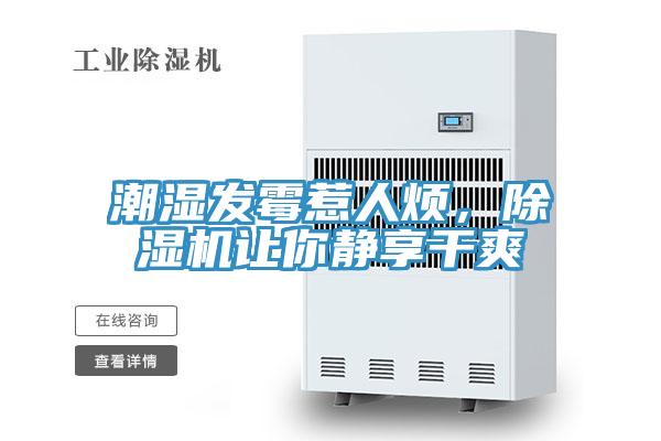 潮濕發(fā)霉惹人煩，除濕機(jī)讓你靜享干爽