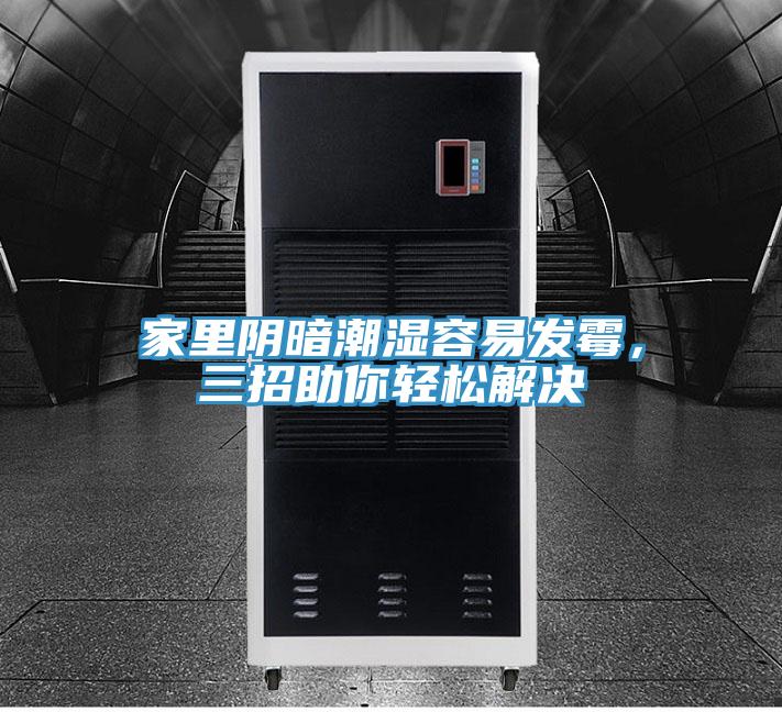 家里陰暗潮濕容易發(fā)霉，三招助你輕松解決