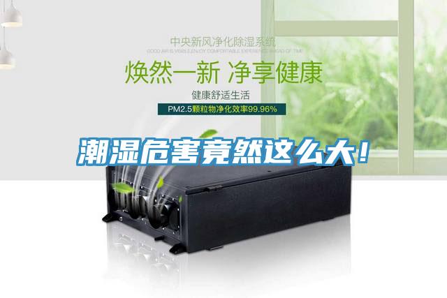 潮濕危害竟然這么大！