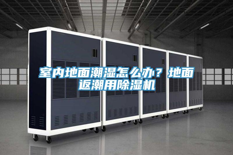 室內(nèi)地面潮濕怎么辦？地面返潮用除濕機(jī)
