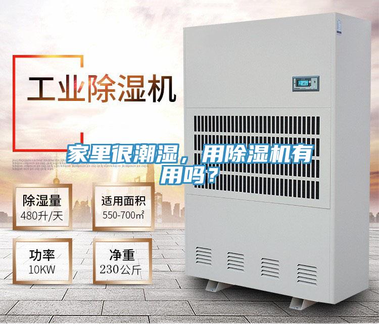 家里很潮濕，用除濕機(jī)有用嗎？
