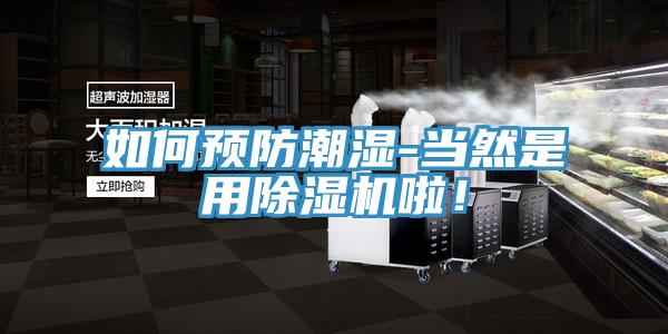 如何預(yù)防潮濕-當然是用除濕機啦！