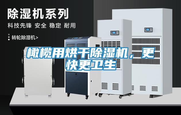 橄欖用烘干除濕機，更快更衛(wèi)生