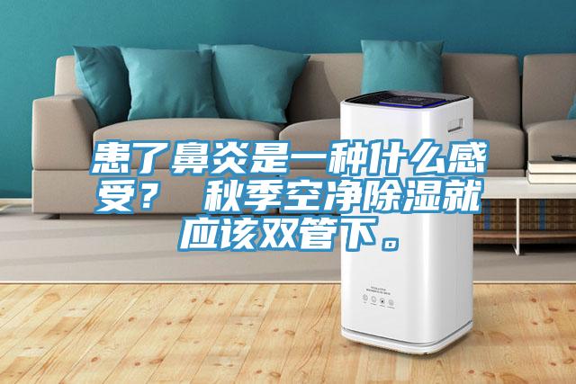患了鼻炎是一種什么感受？ 秋季空凈除濕就應該雙管下。
