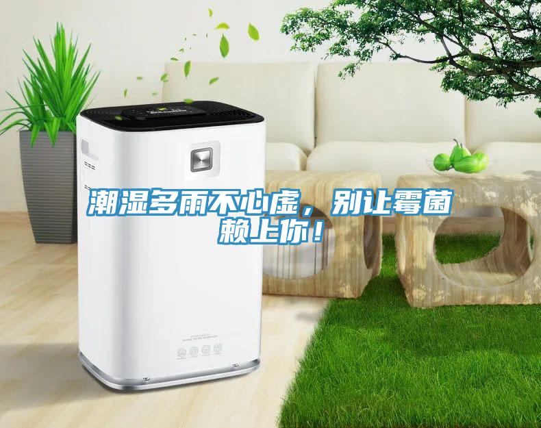 潮濕多雨不心虛，別讓霉菌賴(lài)上你！