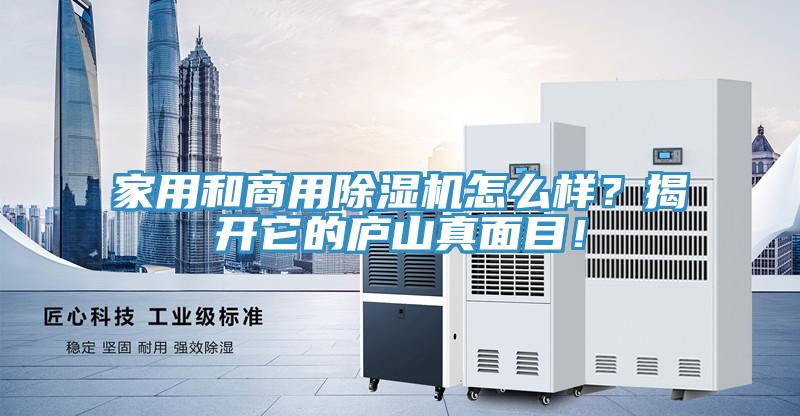 家用和商用除濕機(jī)怎么樣？揭開它的廬山真面目！