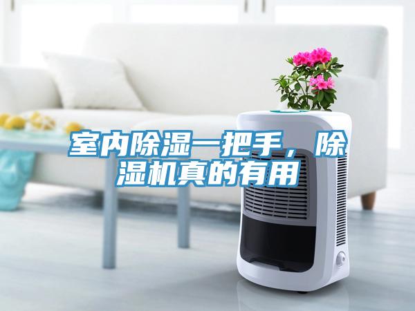 室內(nèi)除濕一把手，除濕機(jī)真的有用