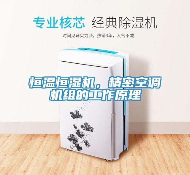 恒溫恒濕機(jī)，精密空調(diào)機(jī)組的工作原理