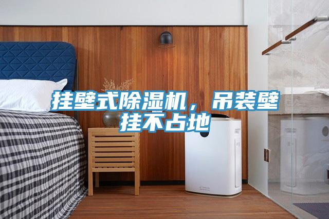掛壁式除濕機，吊裝壁掛不占地