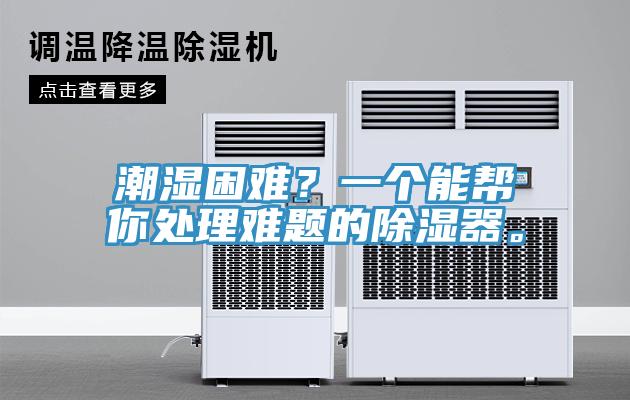 潮濕困難？一個能幫你處理難題的除濕器。
