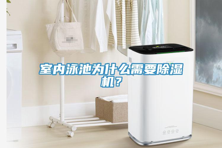 室內(nèi)泳池為什么需要除濕機(jī)？