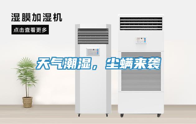 天氣潮濕，塵螨來襲