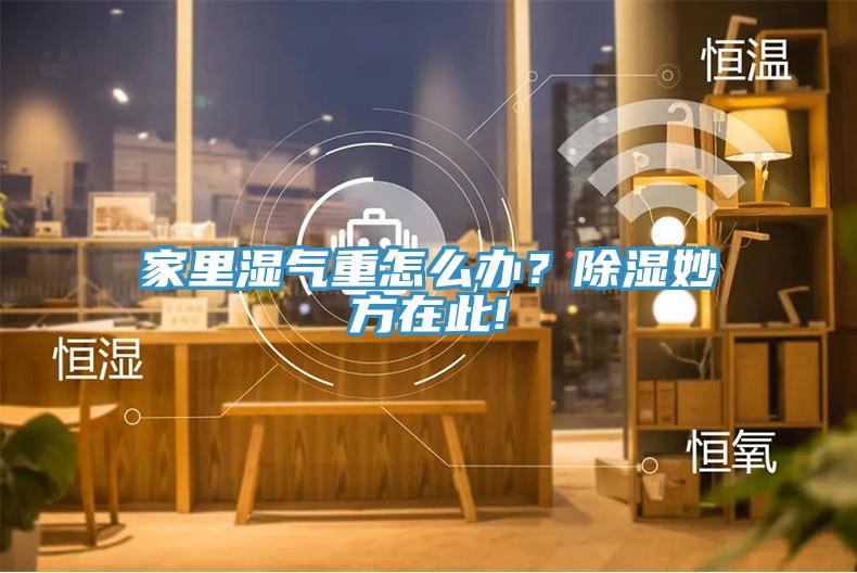 家里濕氣重怎么辦？除濕妙方在此!