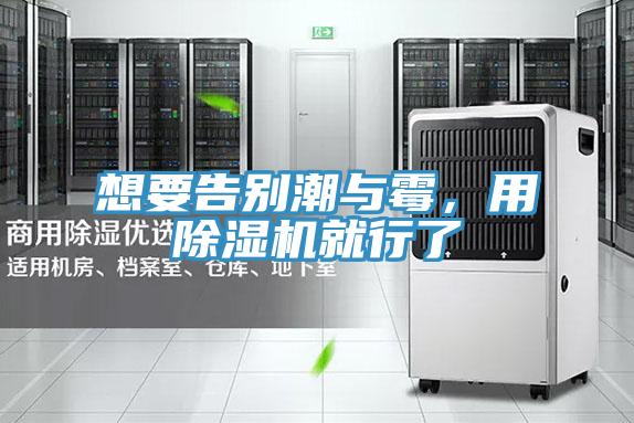 想要告別潮與霉，用除濕機(jī)就行了