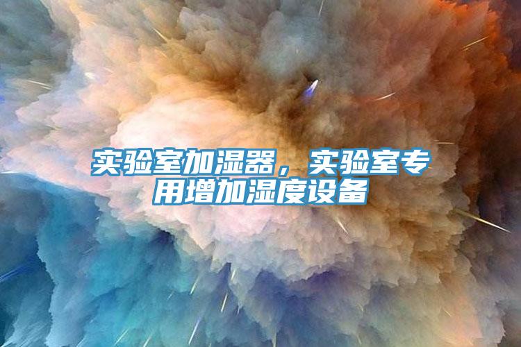 實(shí)驗(yàn)室加濕器，實(shí)驗(yàn)室專用增加濕度設(shè)備