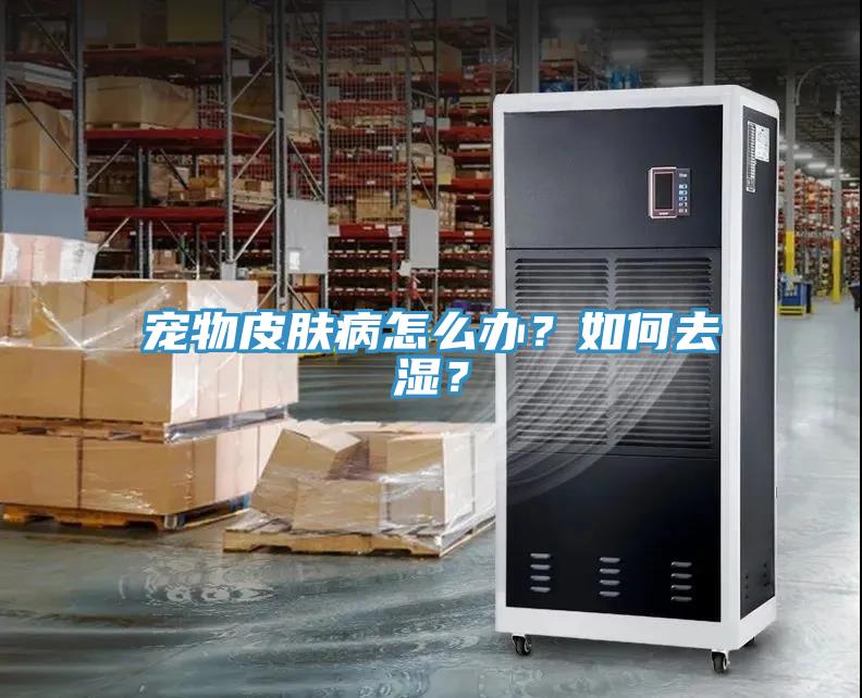 寵物皮膚病怎么辦？如何去濕？