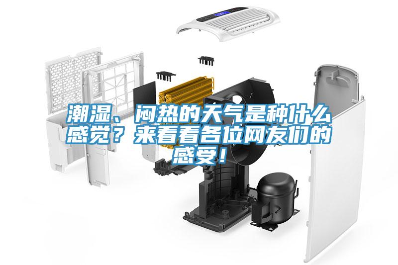 潮濕、悶熱的天氣是種什么感覺？來看看各位網(wǎng)友們的感受！