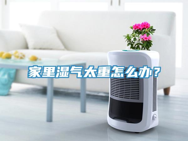 家里濕氣太重怎么辦？