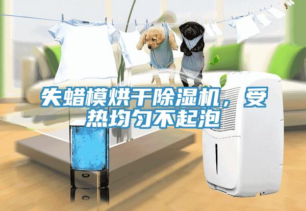 失蠟?zāi)：娓沙凉駲C(jī)，受熱均勻不起泡