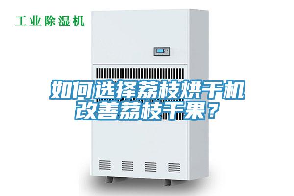 如何選擇荔枝烘干機(jī)改善荔枝干果？