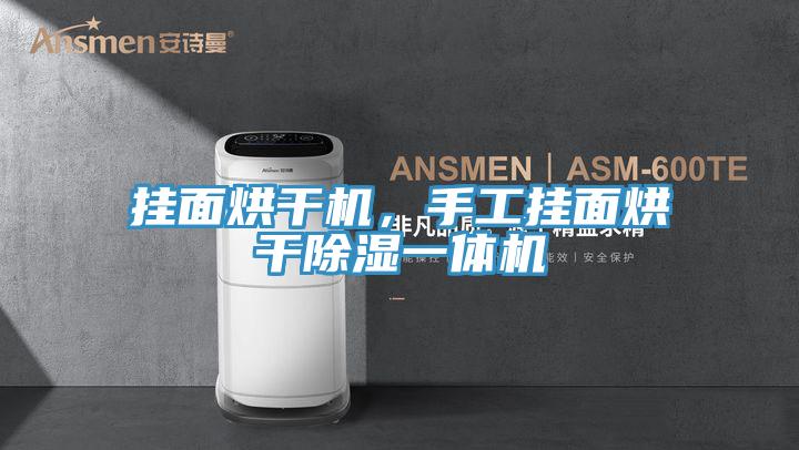 掛面烘干機，手工掛面烘干除濕一體機