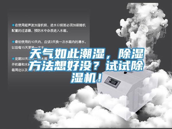 天氣如此潮濕，除濕方法想好沒？試試除濕機(jī)！