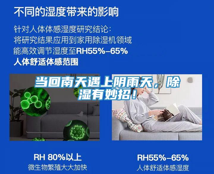 當(dāng)回南天遇上陰雨天，除濕有妙招！