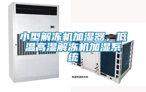 小型解凍機(jī)加濕器，低溫高濕解凍機(jī)加濕系統(tǒng)