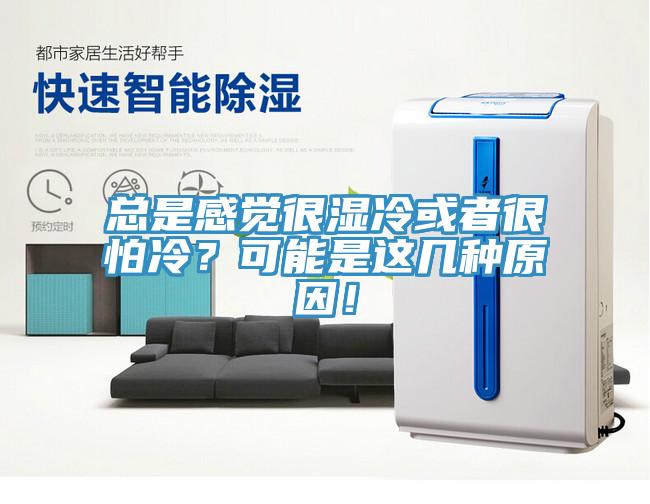 總是感覺很濕冷或者很怕冷？可能是這幾種原因！