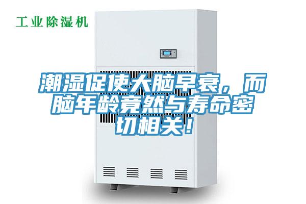 潮濕促使大腦早衰，而腦年齡竟然與壽命密切相關！