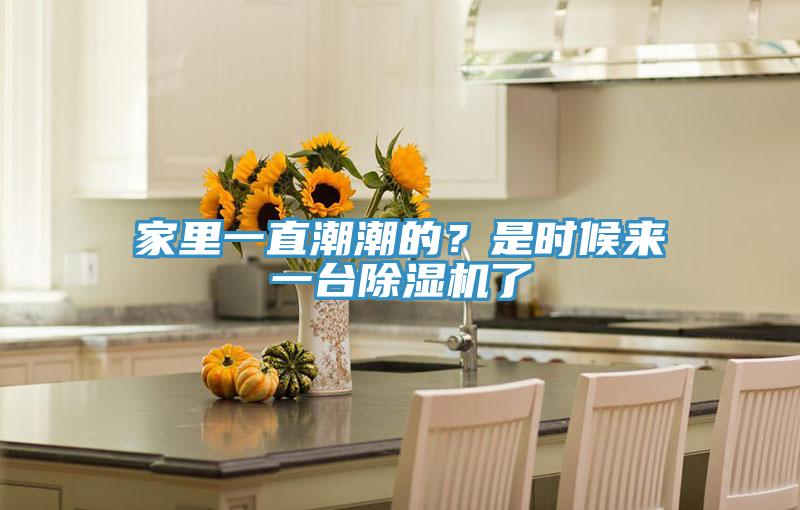 家里一直潮潮的？是時(shí)候來(lái)一臺(tái)除濕機(jī)了