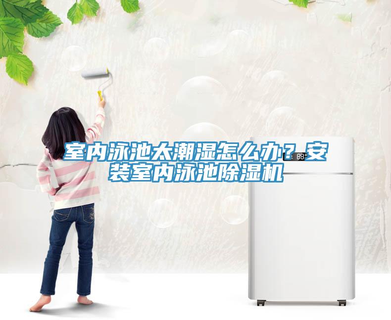 室內(nèi)泳池太潮濕怎么辦？安裝室內(nèi)泳池除濕機(jī)