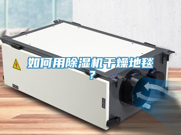 如何用除濕機干燥地毯？