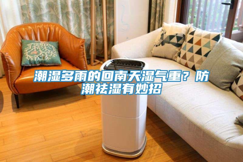 潮濕多雨的回南天濕氣重？防潮祛濕有妙招