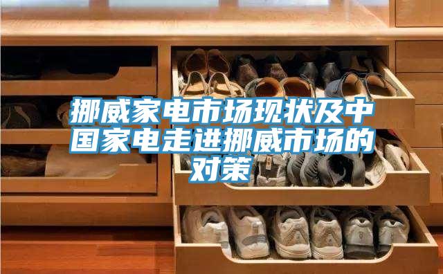 挪威家電市場(chǎng)現(xiàn)狀及中國家電走進(jìn)挪威市場(chǎng)的對(duì)策