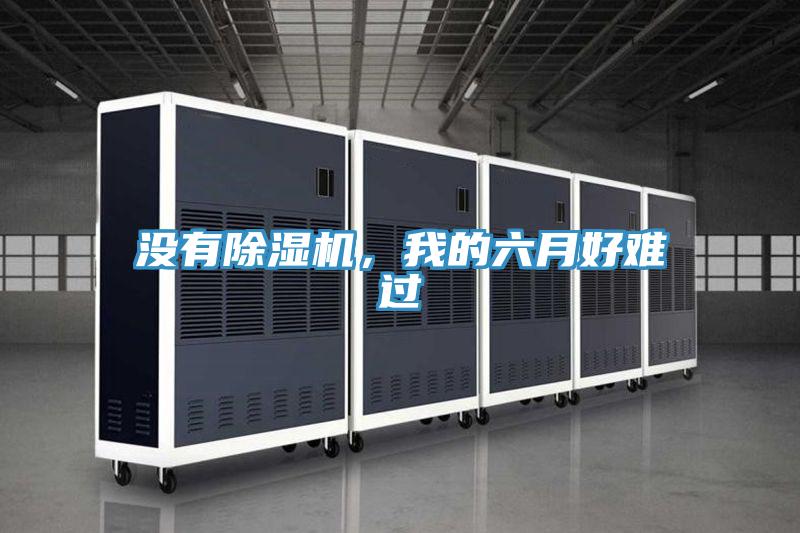 沒(méi)有除濕機(jī)，我的六月好難過(guò)