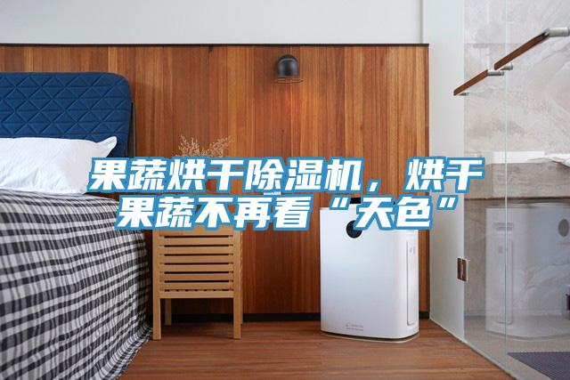 果蔬烘干除濕機，烘干果蔬不再看“天色”