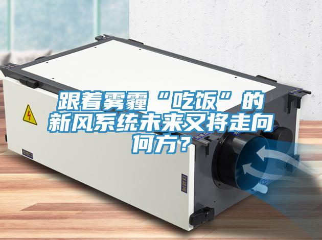跟著霧霾“吃飯”的新風(fēng)系統(tǒng)未來又將走向何方？