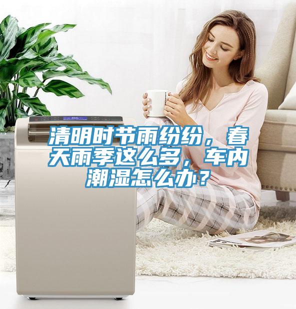 清明時節(jié)雨紛紛，春天雨季這么多，車內潮濕怎么辦？